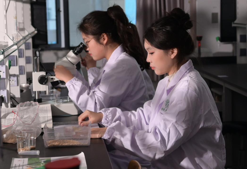 1763955201726080349.png 图片1.png